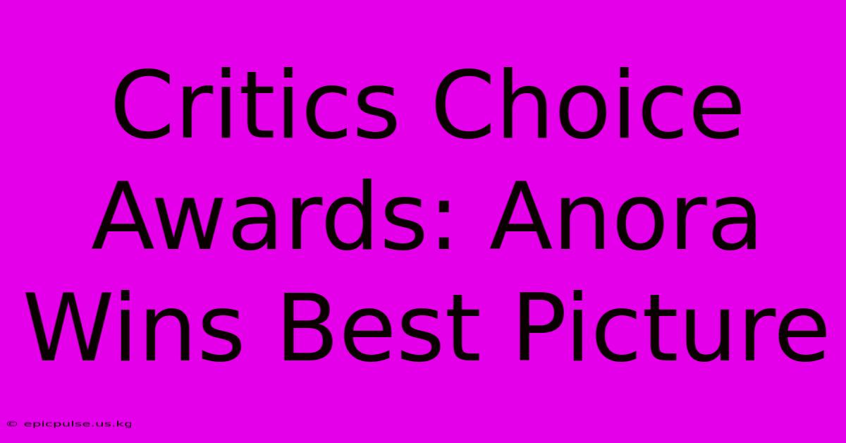 Critics Choice Awards: Anora Wins Best Picture