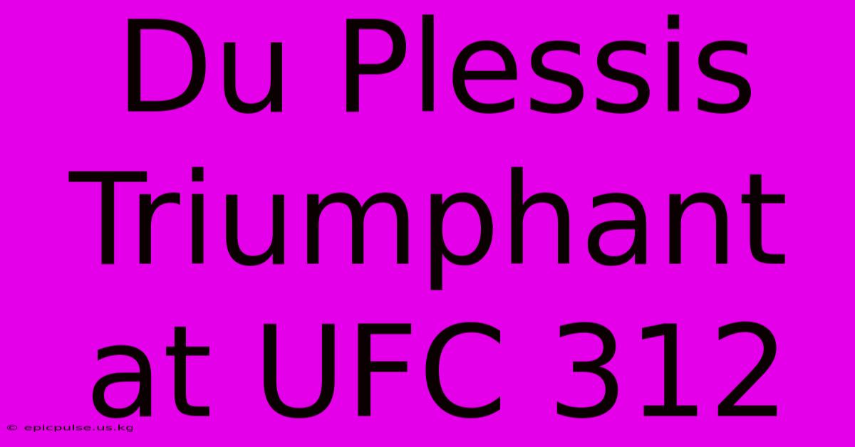 Du Plessis Triumphant At UFC 312