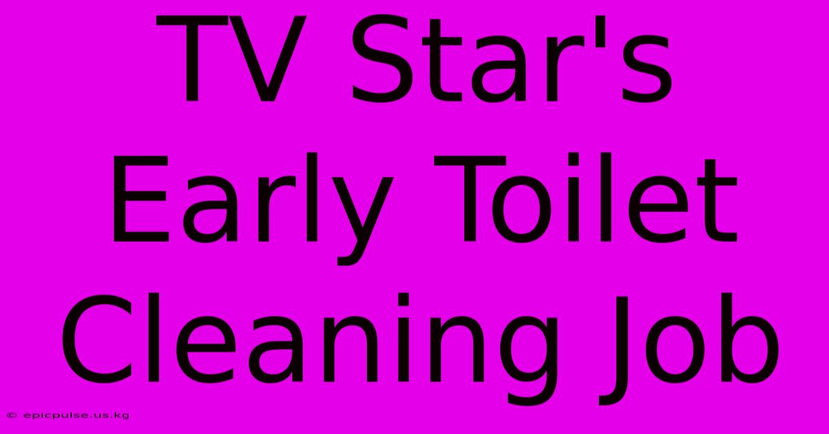 TV Star's Early Toilet Cleaning Job