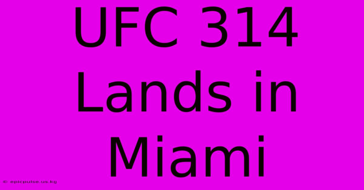 UFC 314 Lands In Miami