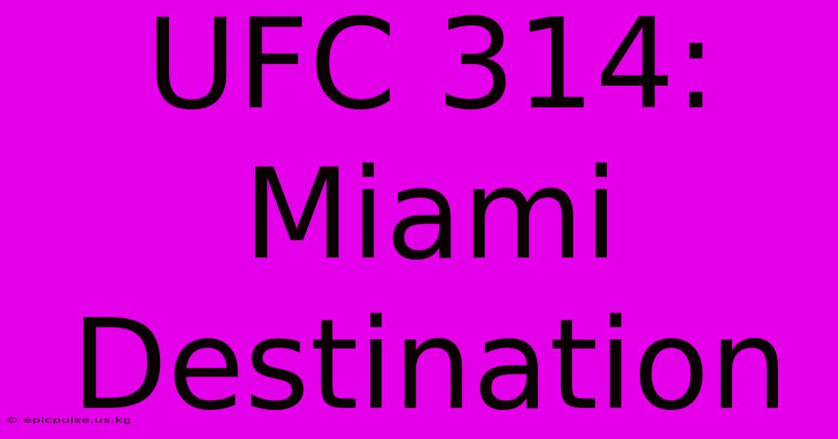 UFC 314: Miami Destination